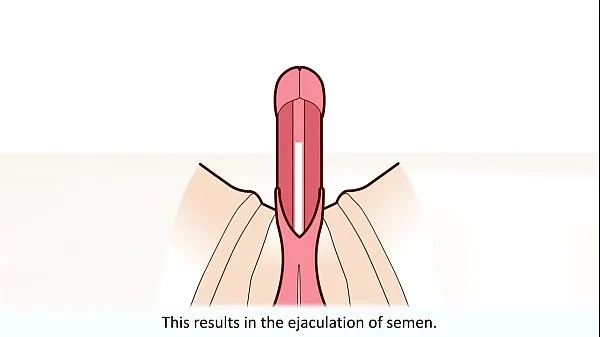The male orgasm explained Video baru yang besar