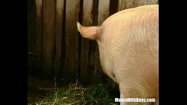 Brunette Lady Farmer Hairy Pussy Barn Fucked Video baru yang besar