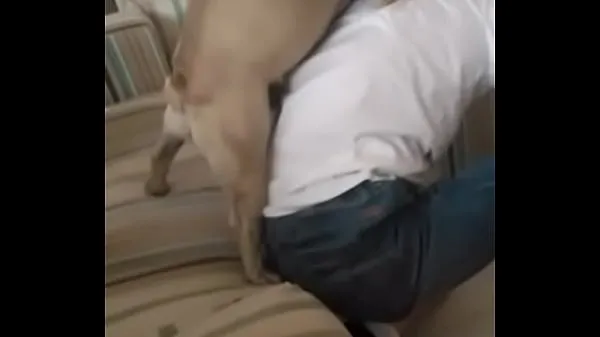 大きなSex-starved dog fucks young新しい動画