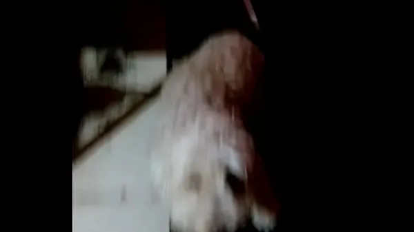Veľké I discover my dog with the ball nové videá