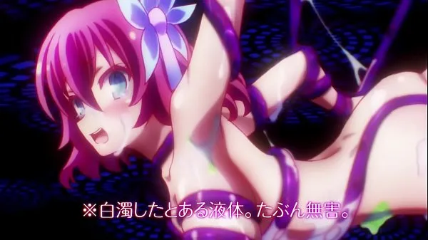 Big No Game No Life (2014) - Fanservice Compilation new Videos
