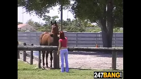 Grandes Horse Girl novos vídeos