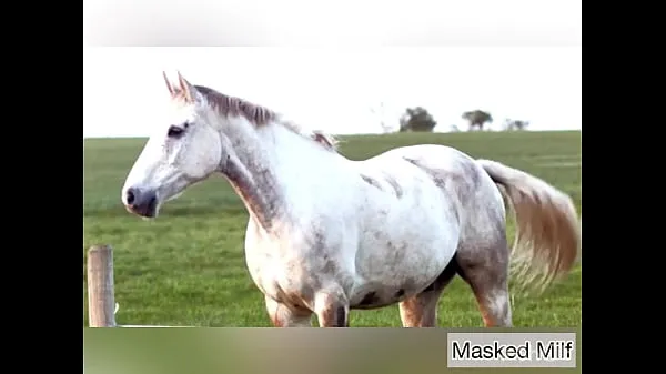 Stora Horny Milf takes giant horse cock dildo compilation | Masked Milf nya videor