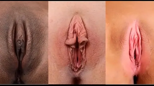 Grosses Pictures film with hundreds of pussies nouvelles vidéos