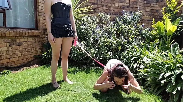 Girl taking her bitch out for a pee outside | humiliations | piss sniffing مقاطع فيديو جديدة كبيرة