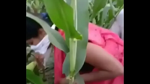 Big Indian village Bhabhi sex in farm new Videos