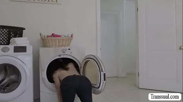 Big Stepbro bangs TS stepsis in laundry room new Videos
